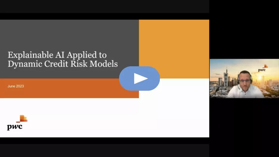 Video of project: Explainable AI Applied to Dynamic Credit Risk Models 