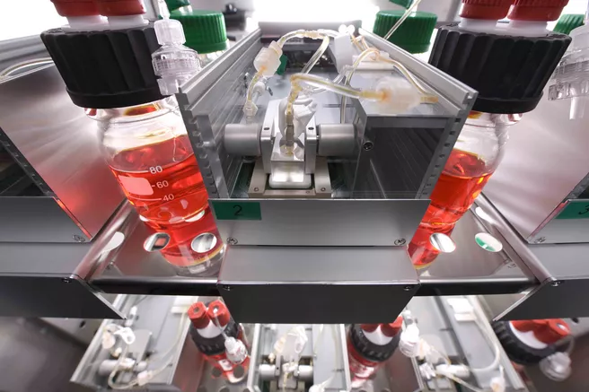 A picture from the Cellasys' factory