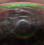 A picture of the earth