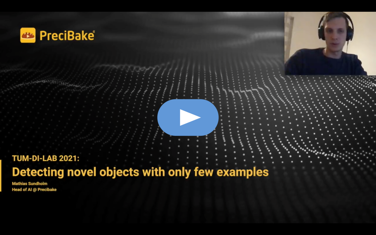 Video about the project Detecting novel objects with only few examples