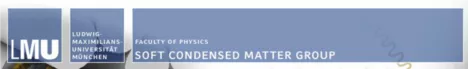 Logo of Faculty of Physics, LMU