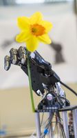 A picture of a robotic hand holding a flower 
