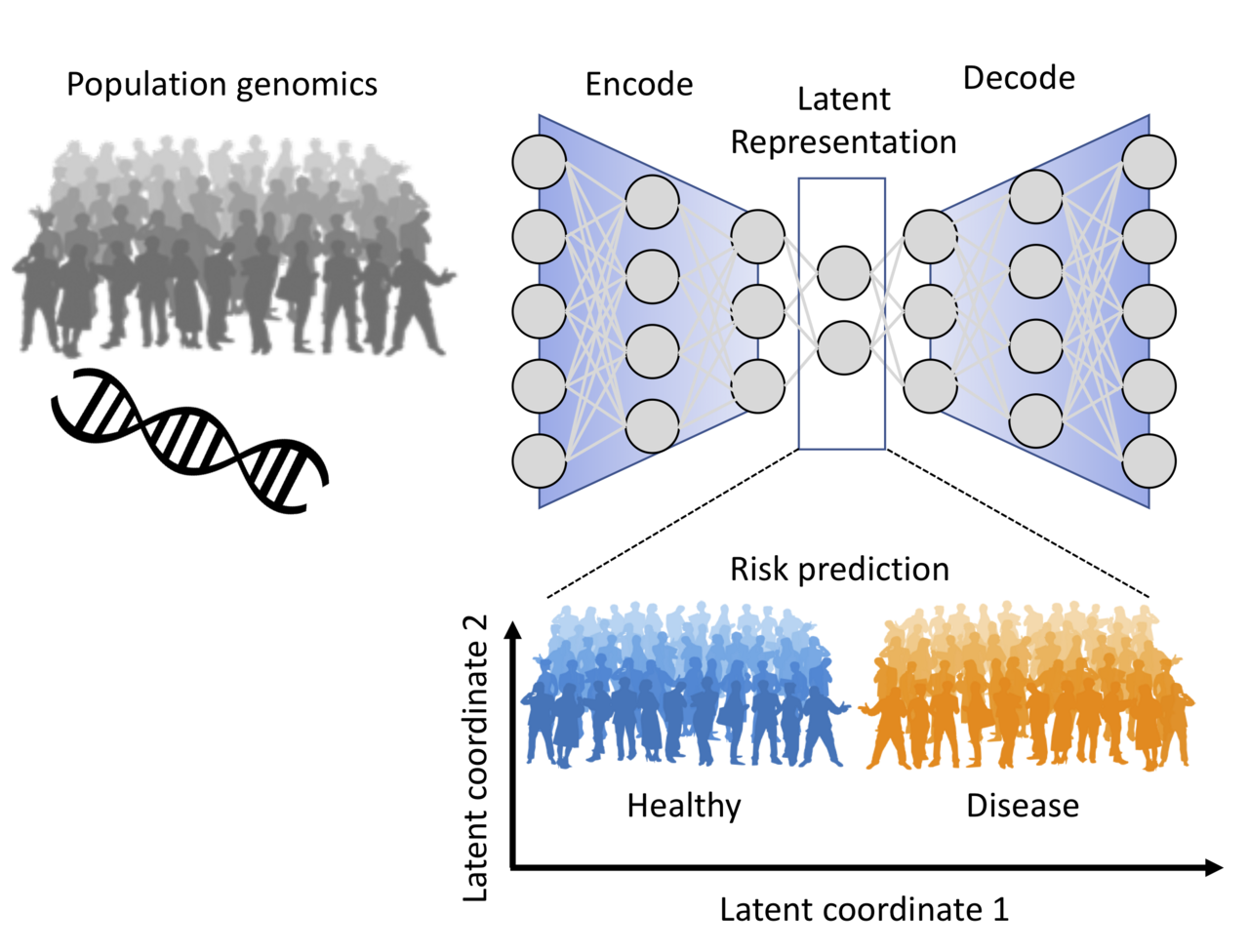 An illustration of the project Deep learning for genetic risk prediction